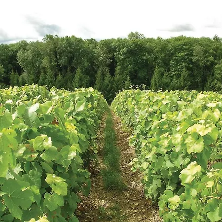 Hébergement de vacances C