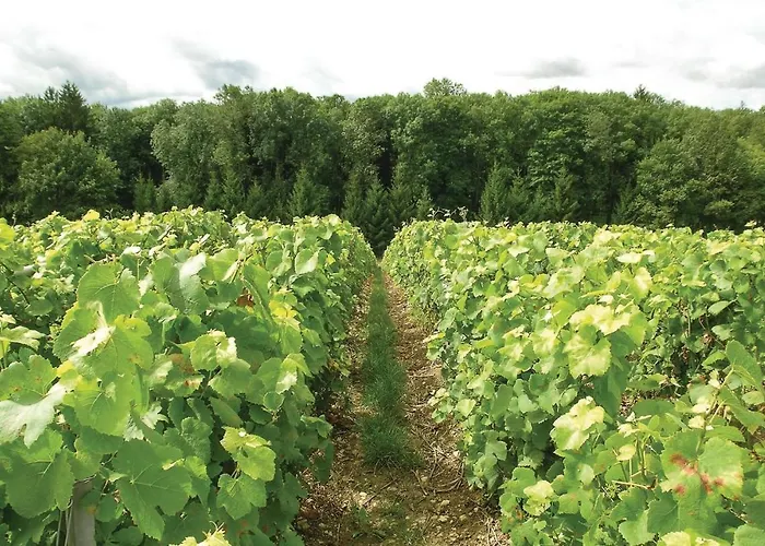 Hébergement de vacances C